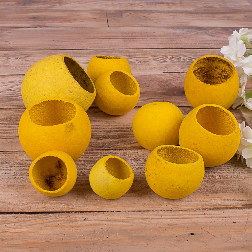 Головки сухоцветов Bell cup 10 шт. Желтый (2211-4) Головки сухоцветов Bell cup 10 шт. Желтый (2211-4)