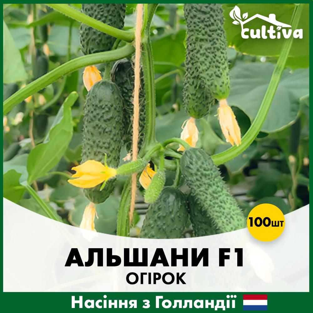 Семена огурца Bejo Ольшаны F1 100 шт. (alsh-100)