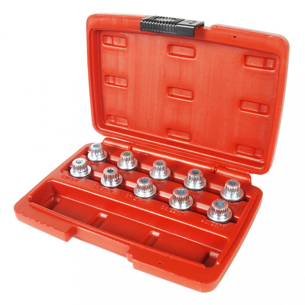 Набор головок для секреток BMW 10 ед. (4318 JTC)