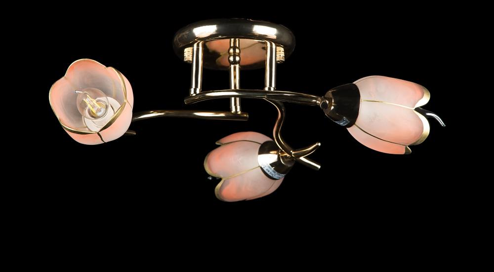 Люстра с плафонами Ray L90701A/3 FGD (IR005581)