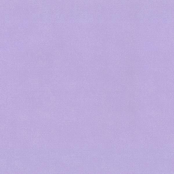 Обои виниловые на флизелиновой основе 0.53х10.05 P+S International 4ever (02331-30)