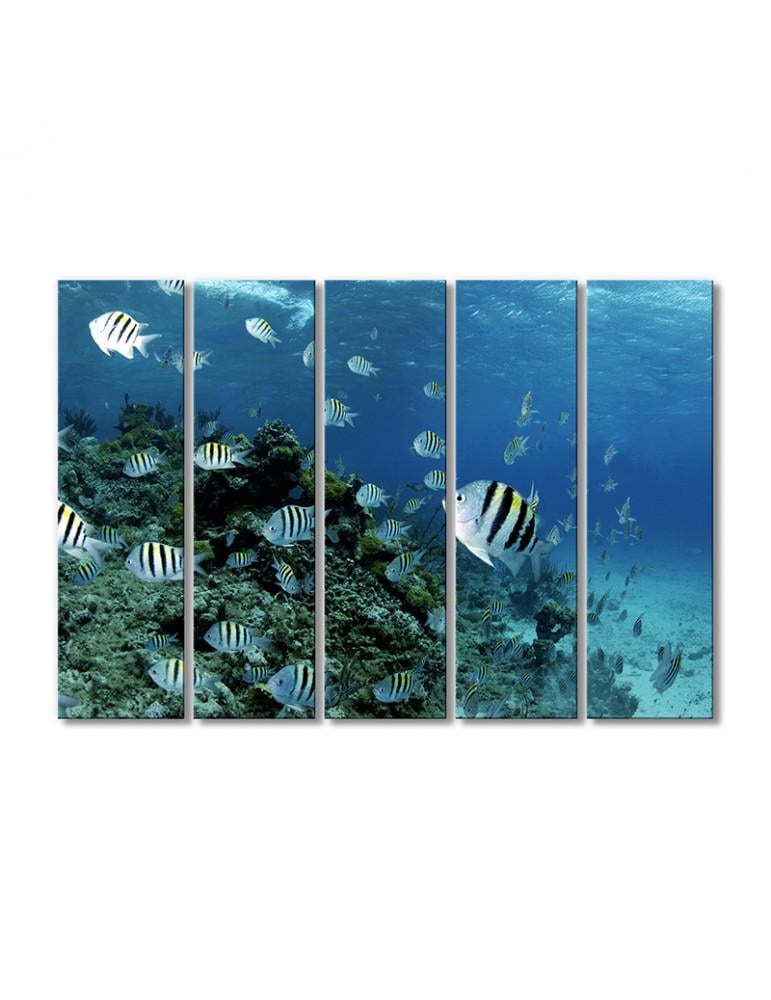 Картина модульная Рыбки зебра 5 модулей 70x105 см