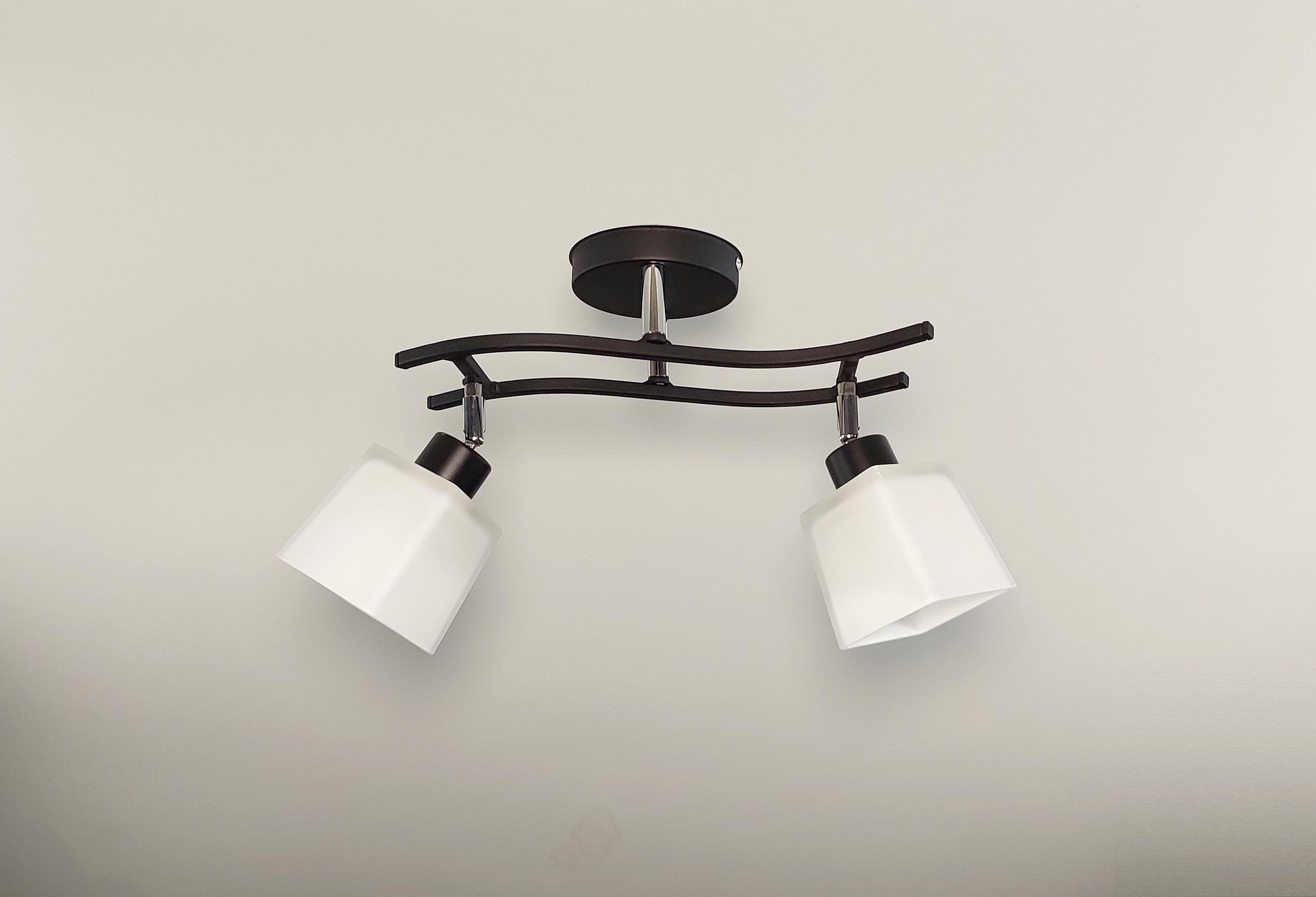 Люстра стельова на 2 поворотних плафона Чорний (13005/2)