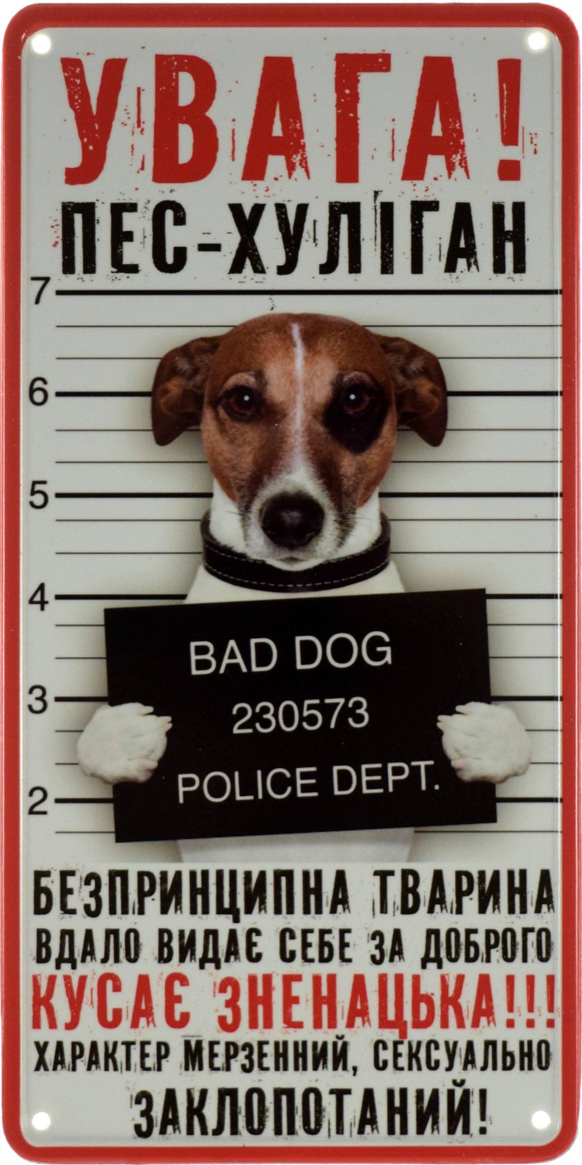 Табличка металлическая "Увага! Пес-Хуліган Кусає Зненацька!" 15x30 см