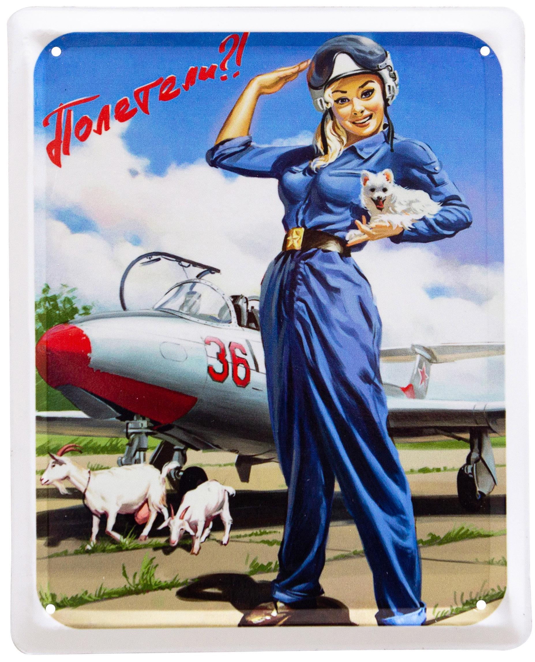 Табличка металлическая Полетели? Pin Up 18x22 см