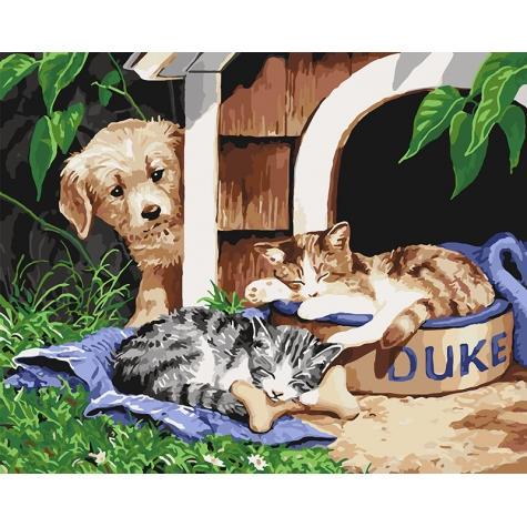 Картина по номерам Идейка Животные птицы Герцог 40х50 см (КНО4118-mt)