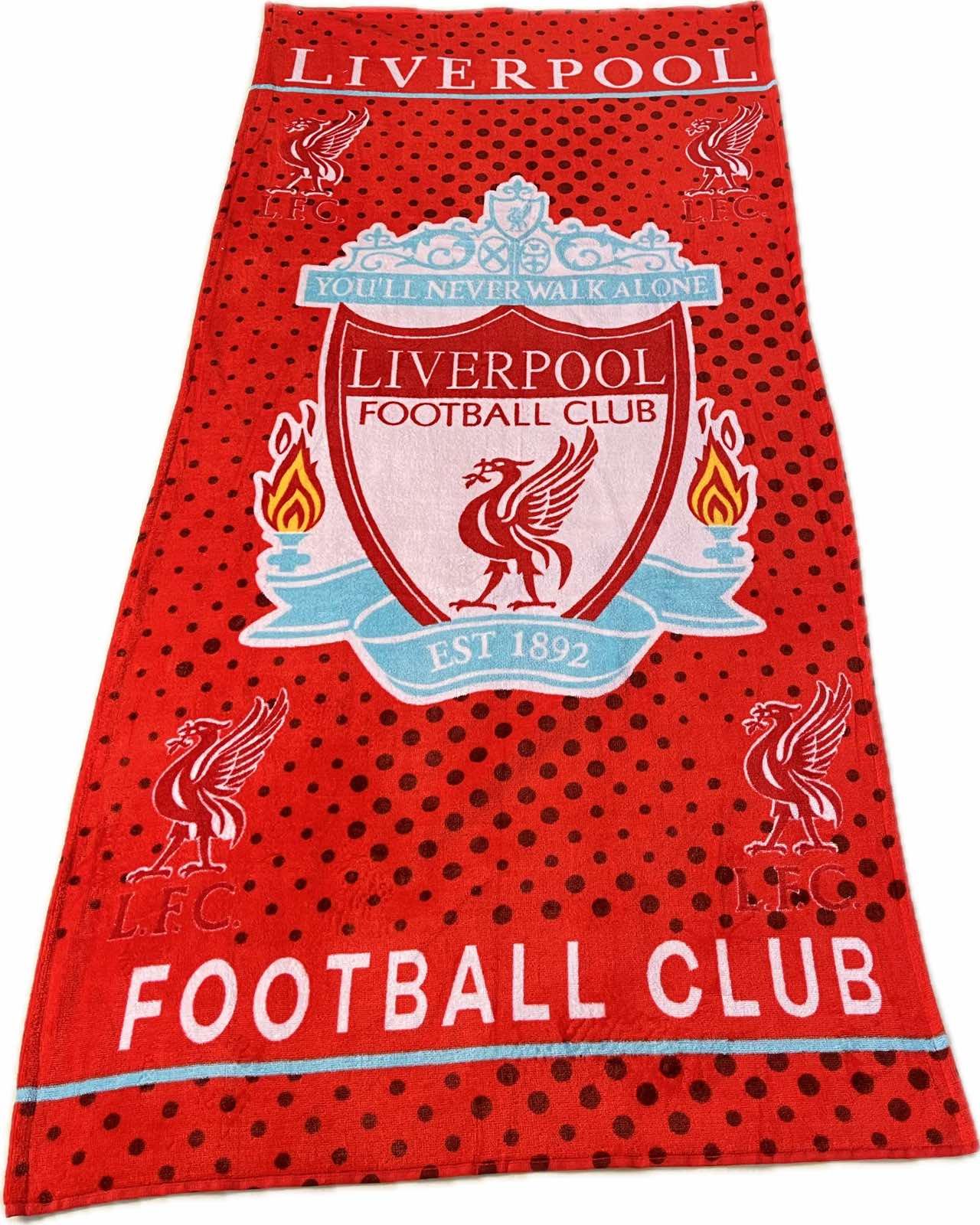 Полотенце пляжный Cottonize Liverpool 75x150 см Разноцветный (CN32228)