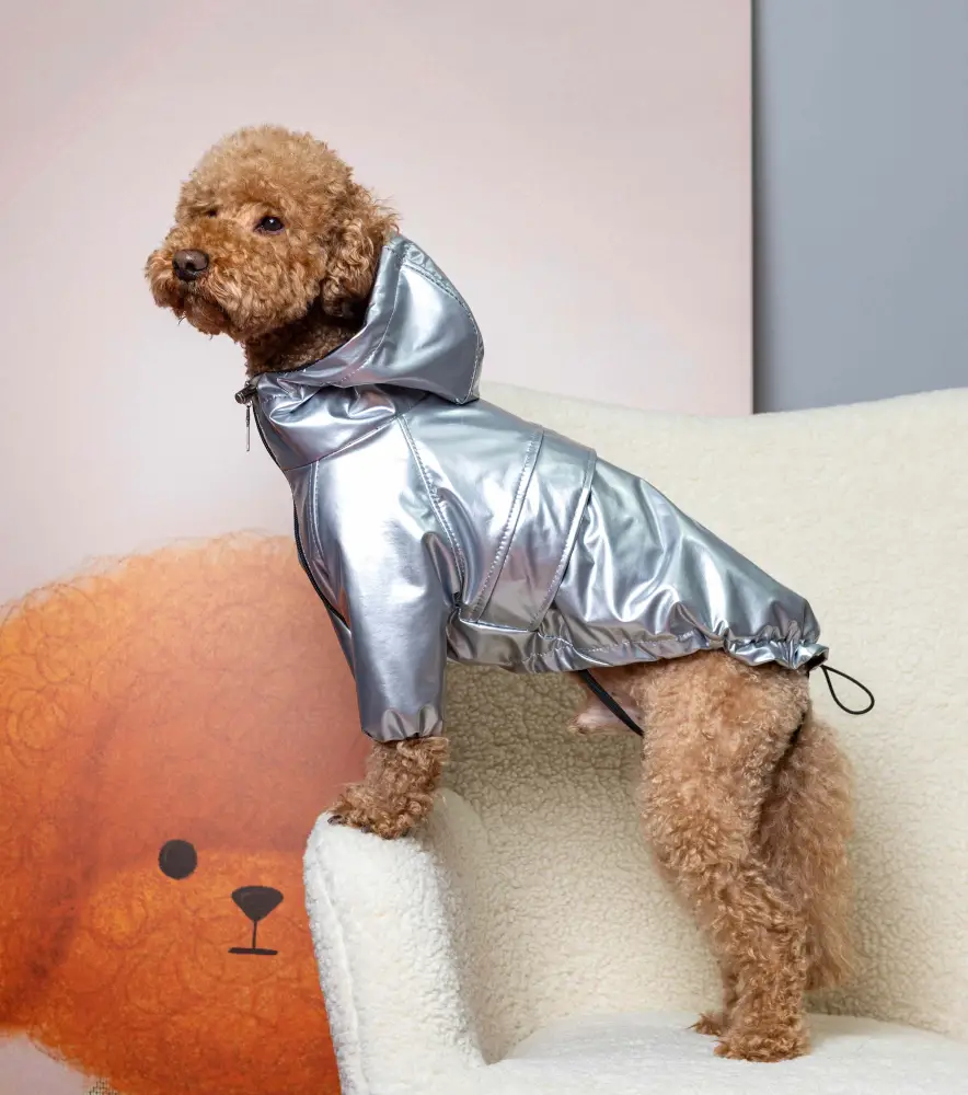 Дождевик Dogs Bomba винил р. 5 Серебряный