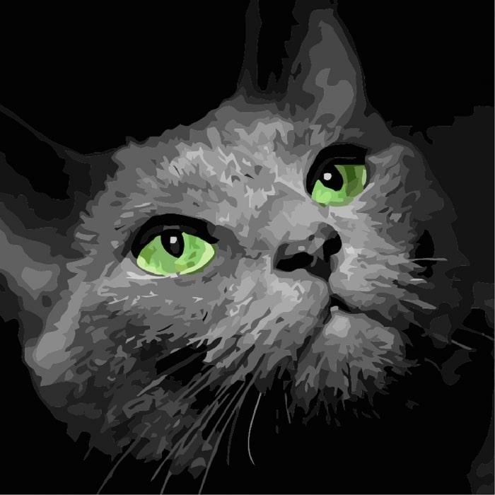 Картина по номерам Идейка Хищный взгляд КНО4163 холст на подрамнике 30x30 см (1233867494)