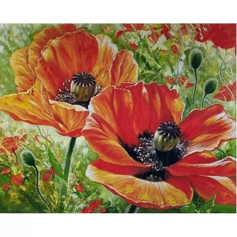 Алмазна вишивка Маки повна викладка 5D 30х40 см (1584544874)