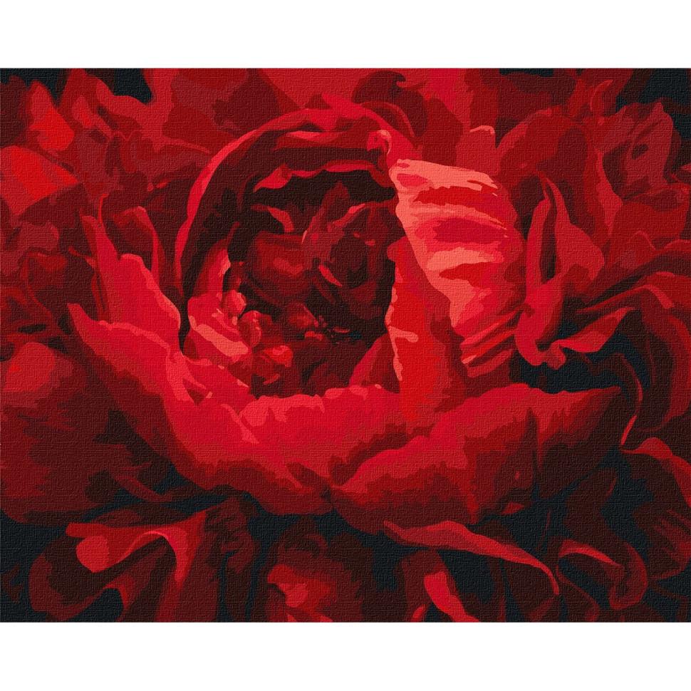 Картина по номерам Идейка KHO3121 Изысканный цветок 40х50 см (37822)