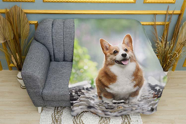 Плед Happy corgi плюш однослойный 150х210 см (114031-1)