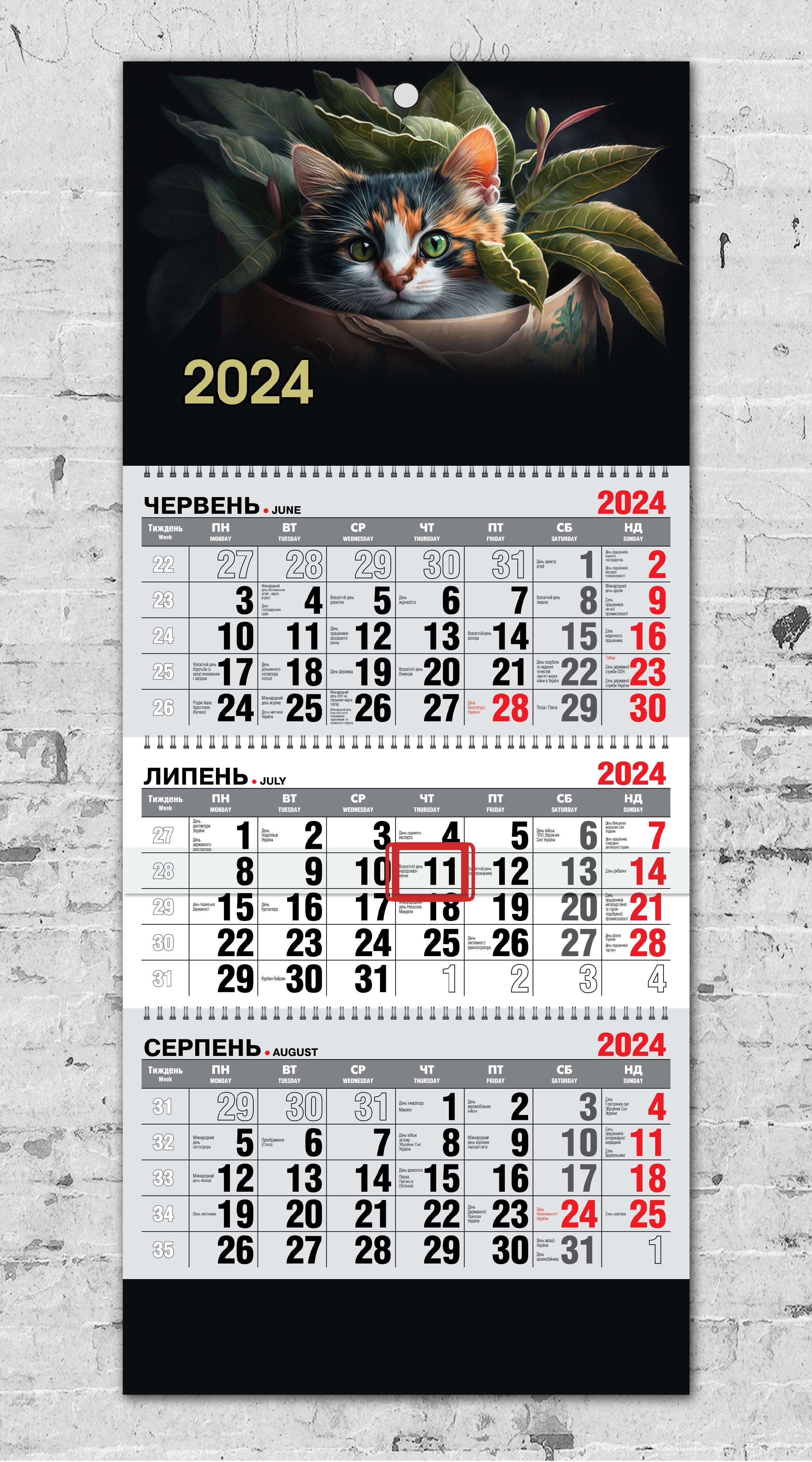 Календар настінний квартальний Котик №2 на 2024 рік на 3 пружини (12509295)