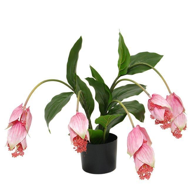 Искусственная Мединилла в горшке Flora 56 см (73158)