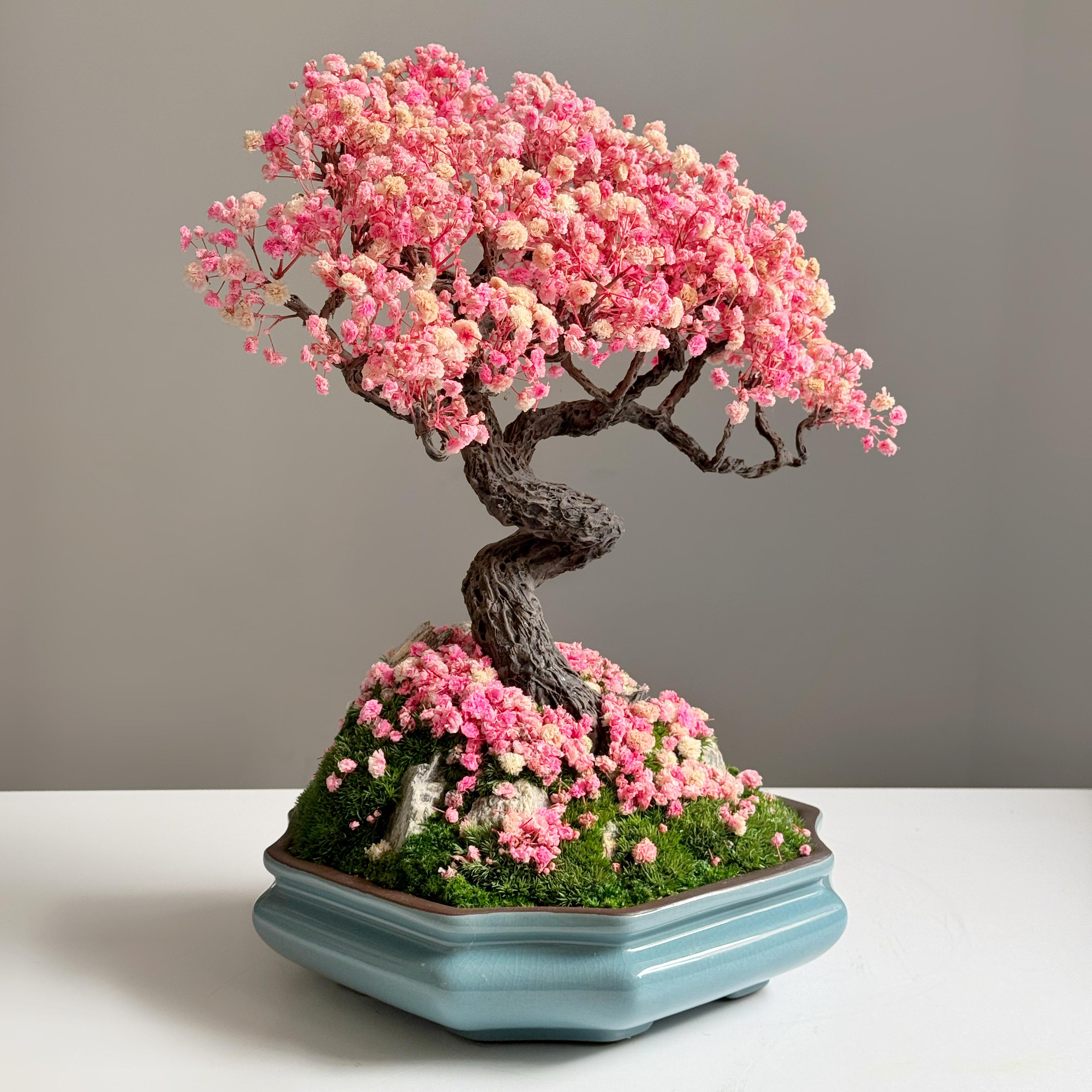 Бонсай із стабілізованих рослин Сакура 28х38 см