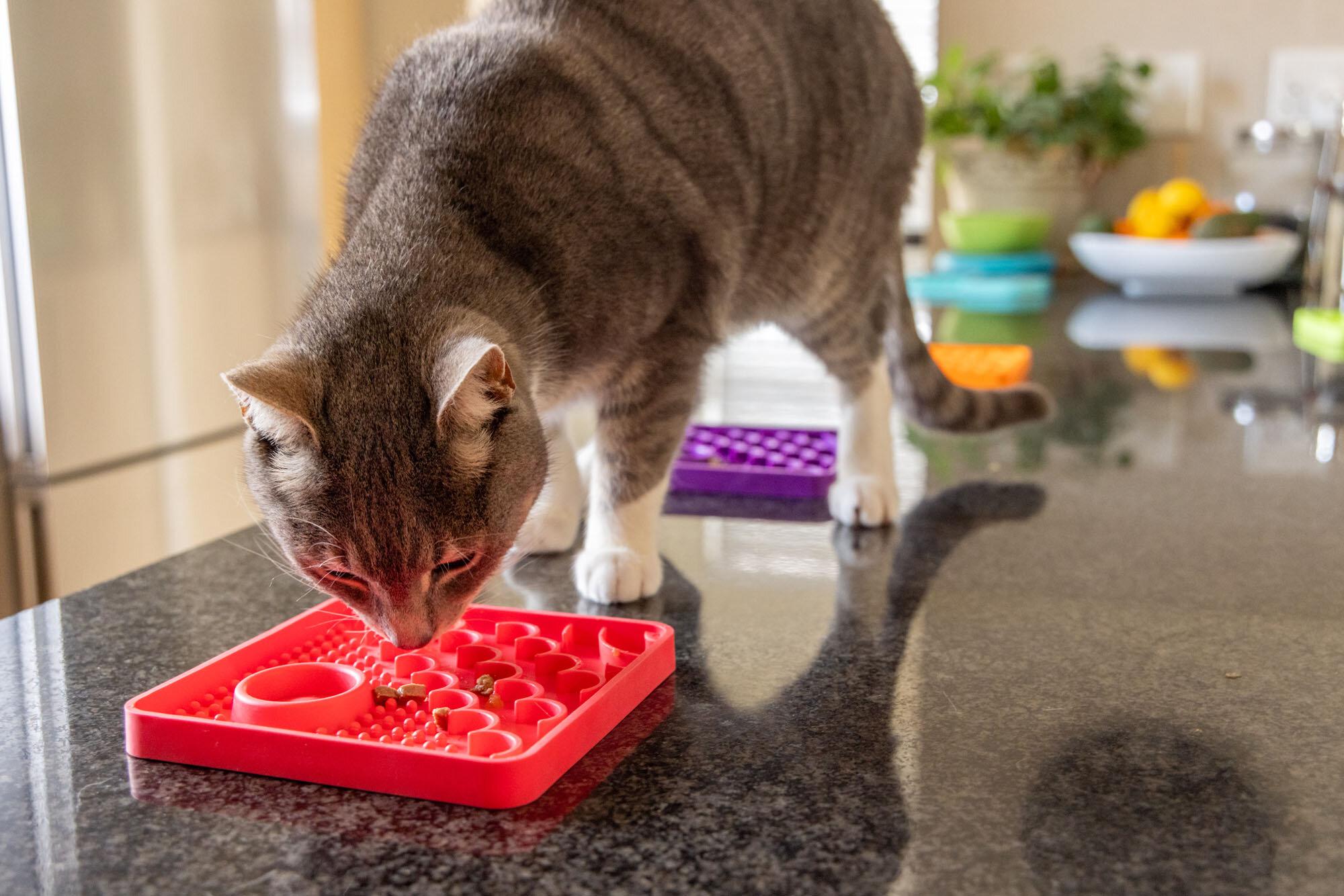 Килимок-антистрес лизальний для кішок Licki Catster Orange - фото 4 Килимок-антистрес лизальний для кішок Licki Catster Orange - фото 4