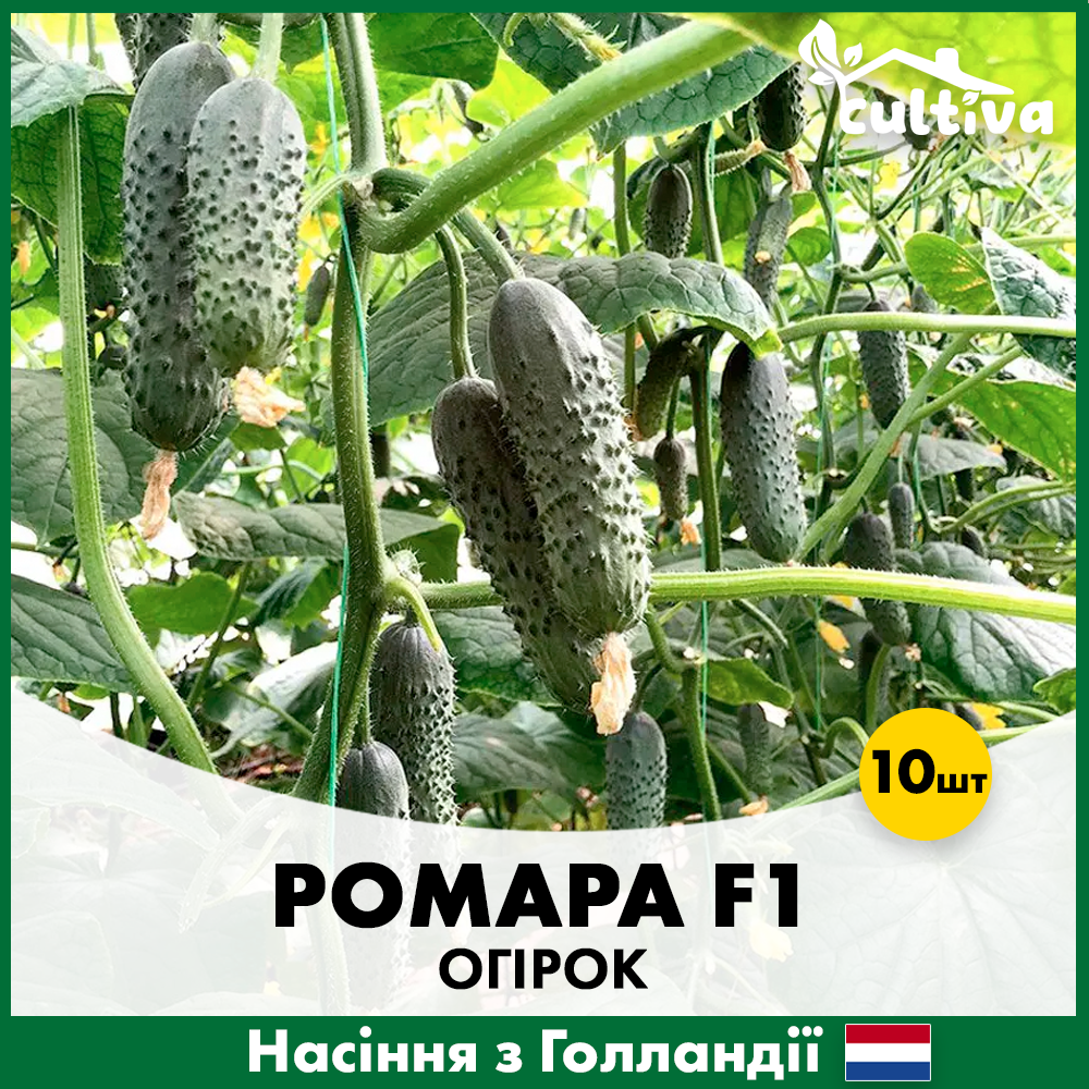 Насіння огірка Rijk Zwaan Ромара F1 10 шт. (00380)
