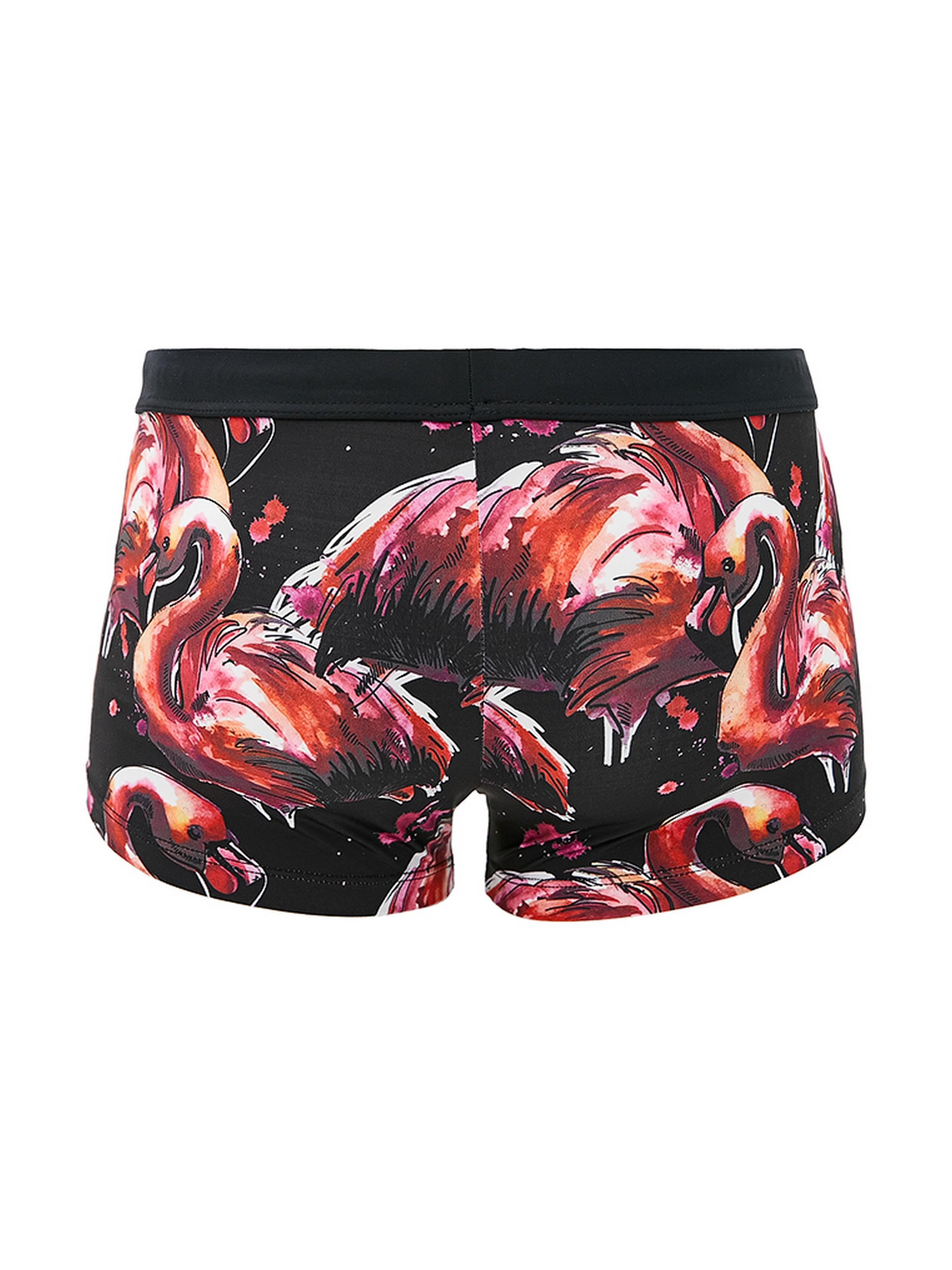 Плавки пляжні GERONIMO 1914b1 S 19141 Принт фламінго (3800205873785) - фото 3 Плавки пляжні GERONIMO 1914b1 S 19141 Принт фламінго (3800205873785) - фото 3