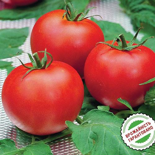 Семена Томат Florium Півфаст F1 (6303)