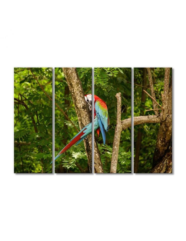 Картина модульная Попугай в парке 4 модуля 80x120 см (174512Pticy_i_nasekomye0001) Картина модульная Попугай в парке 4 модуля 80x120 см (174512Pticy_i_nasekomye0001)