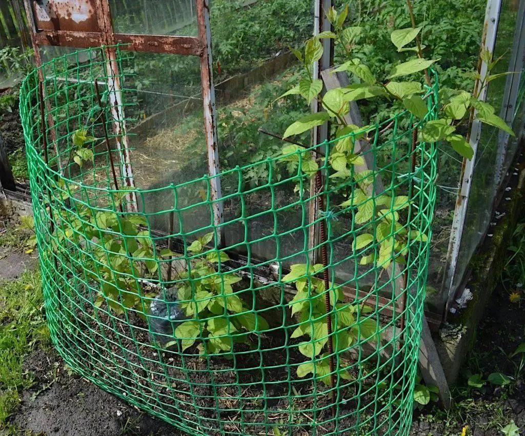 Сетка пластиковая декоративная Клевер 50х50 мм 1х10 м Светло - зеленый - фото 11