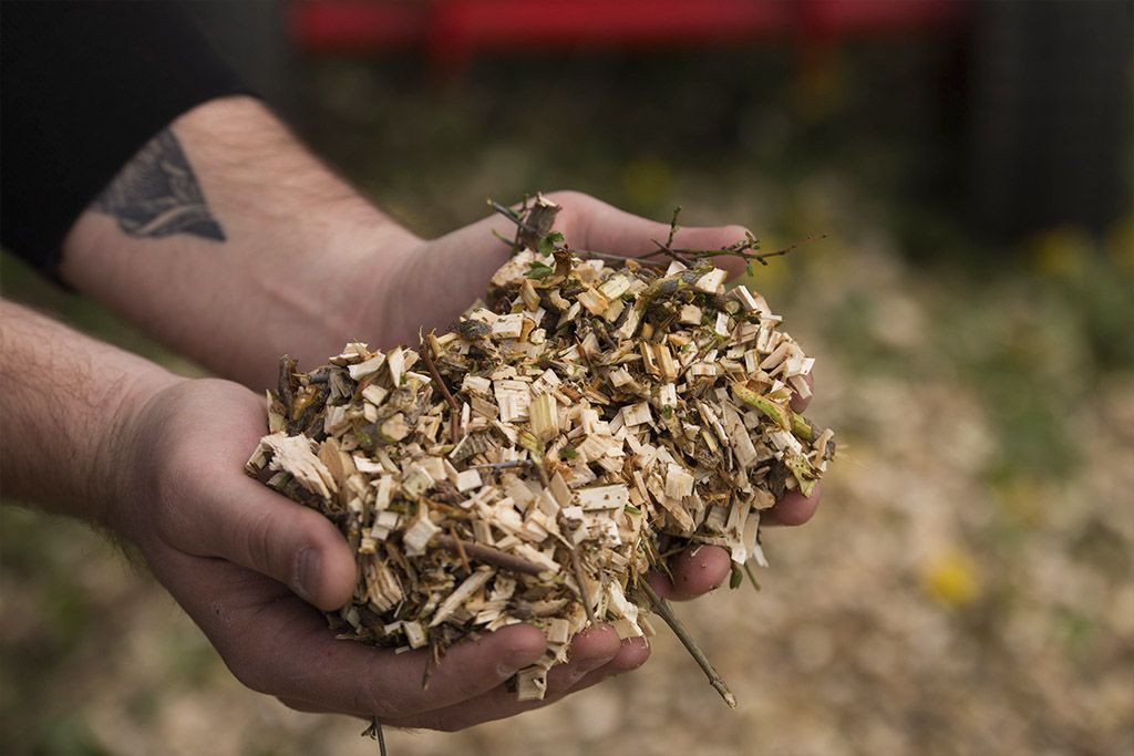 Подрібнювач гілок Arpal на щепу з бензиновим двигуном (МБ-60БД) - фото 4 Подрібнювач гілок Arpal на щепу з бензиновим двигуном (МБ-60БД) - фото 4