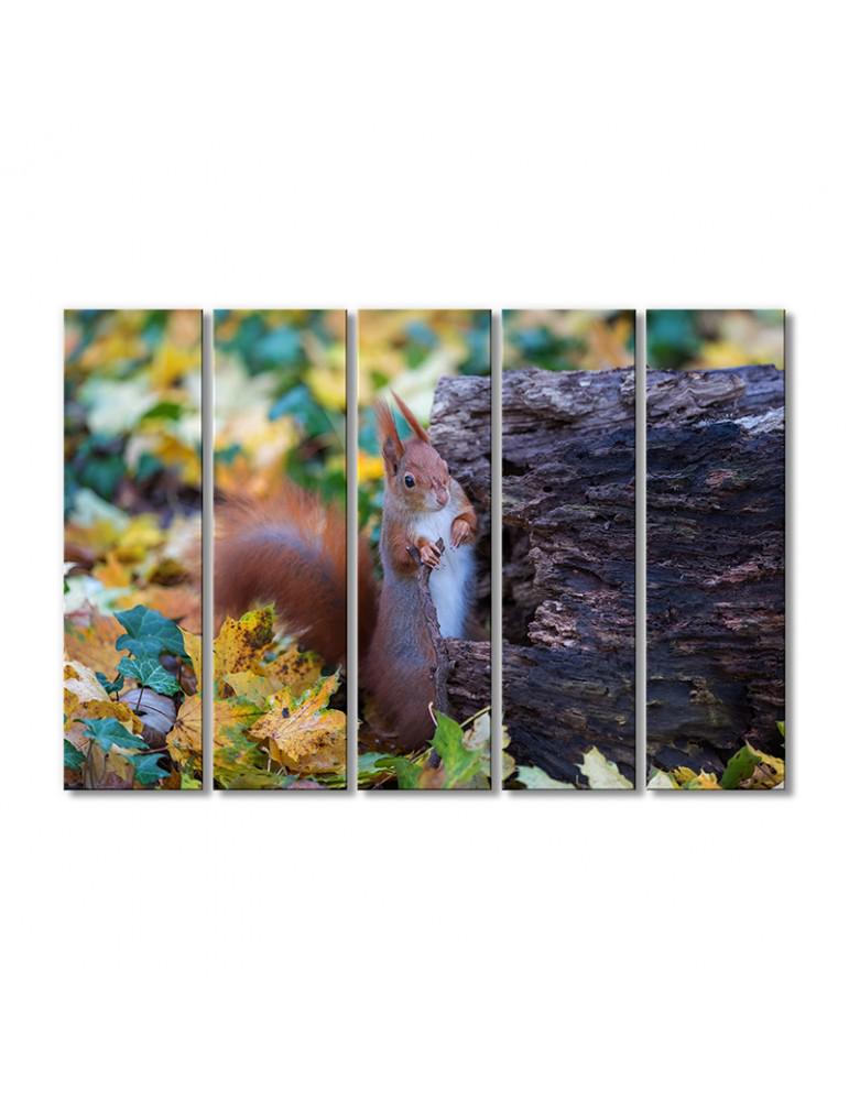 Картина модульная Подглядывающая белка в осенней листве 5 модулей 80x120 см