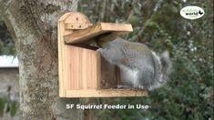 Кормушка для белок Сюрприз из древесины без краски 27х25х16 см - фото 2