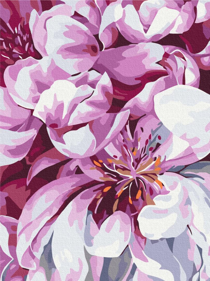 Картина по номерам Brushme Цветы в макро съемке 30x40 см (RBS51712)