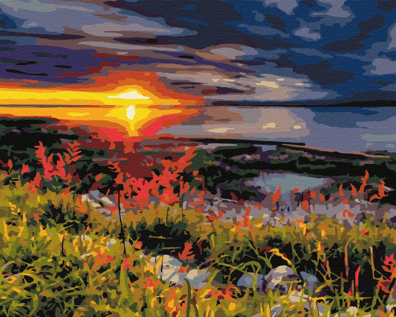 Картина по номерам Brushme Неприкосновенная природа 40x50 см (BS24397)