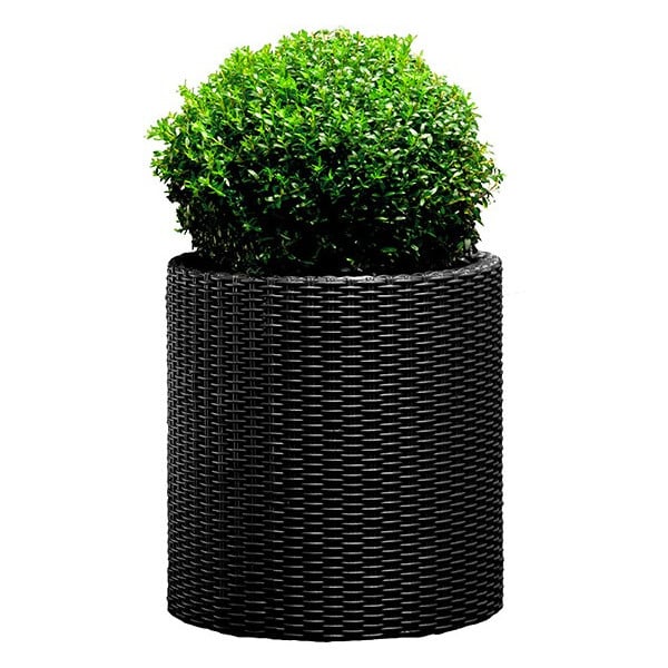 Горшок Keter L Cylinder Planter Серый (17197934902_L)