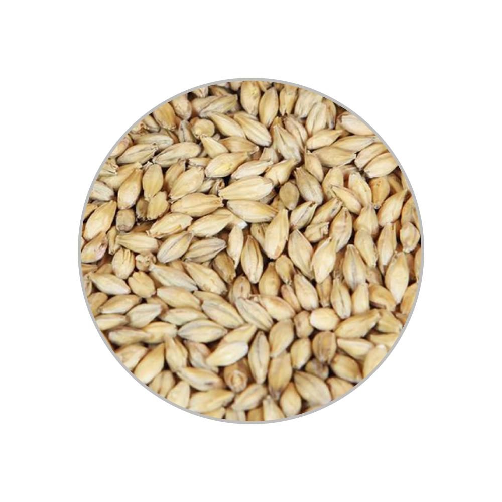Солод венский Vienna Malt EBC 6-9 1 кг