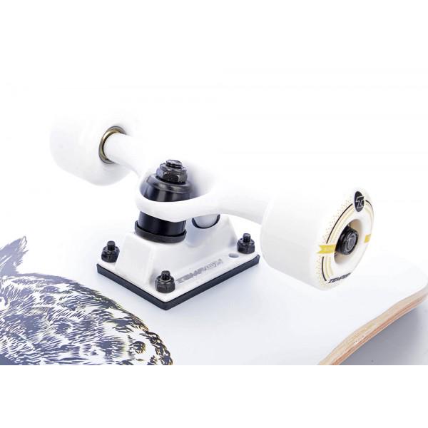 Скейтборд Tempish Golden Owl - фото 9 Скейтборд Tempish Golden Owl - фото 9