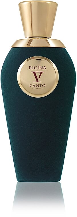 Парфюмированная вода V Canto Curaro 100 мл (1282_6312)