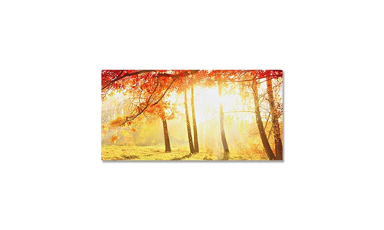 Наклейка виниловая на стол Zatarga Солнечный Лес 600х1200 мм (1274514076) Наклейка виниловая на стол Zatarga Солнечный Лес 600х1200 мм (1274514076)