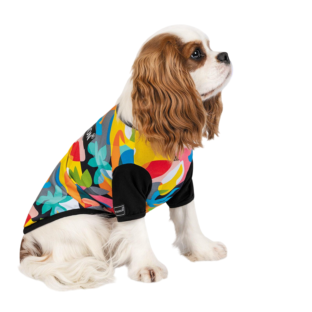 Футболка Pet Fashion Mood XXS Разноцветный (PR242080)