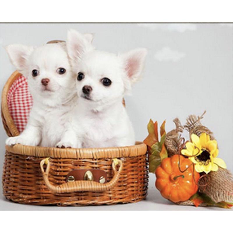 Алмазная мозаика на подрамнике Strateg Премиум Чихуахуа в корзине 30x40 см (Str-HEG86064)