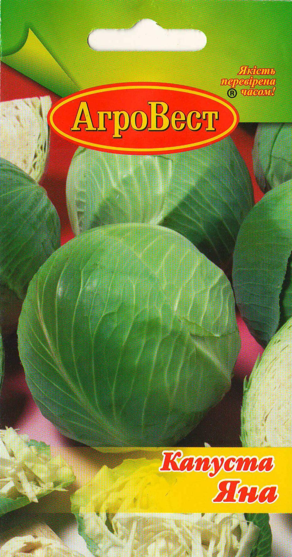 Насіння АгроВест капуста білоголова Яна 1 г (22141)