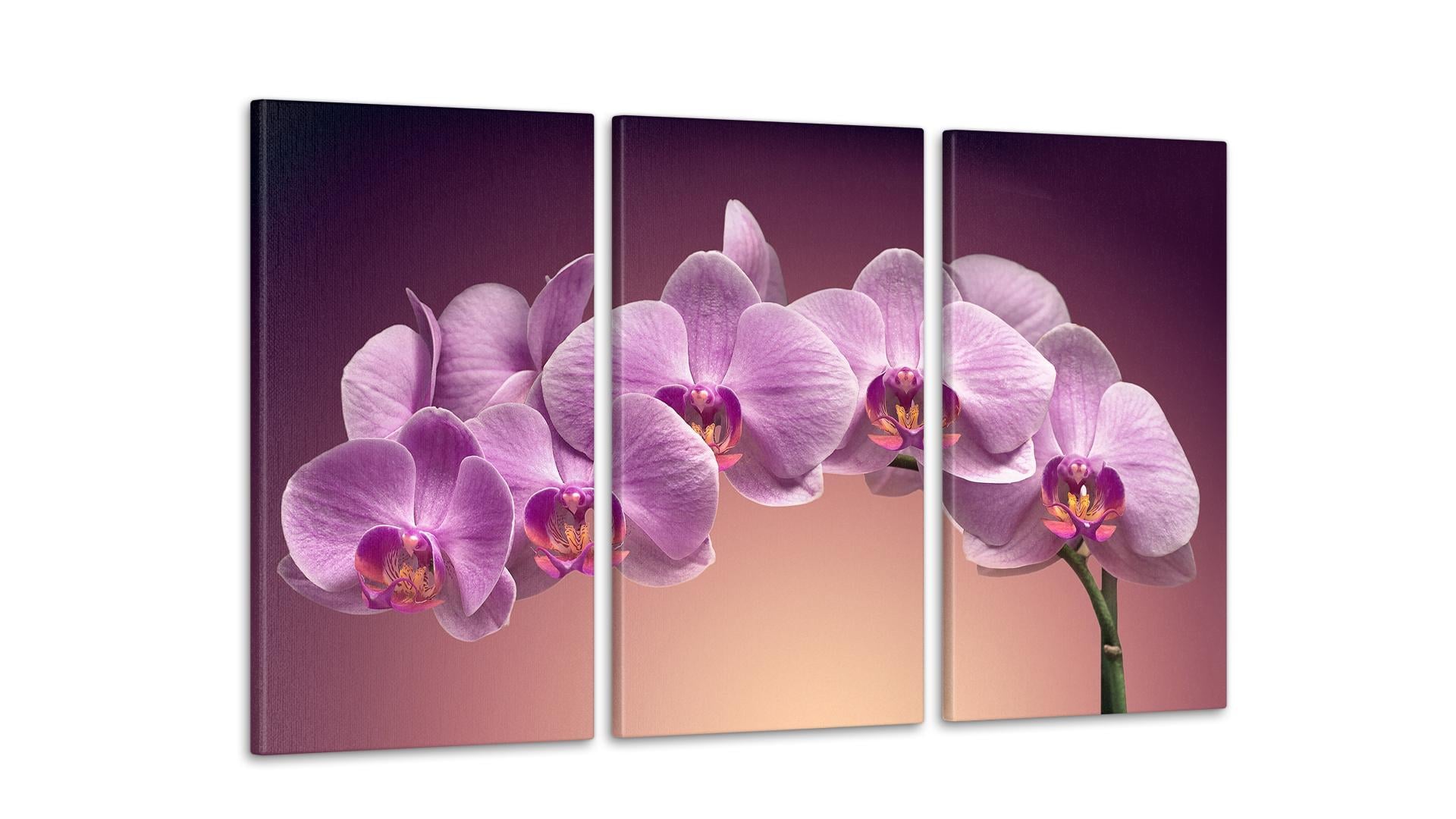 Модульная картина Цветы Орхидея 53x100 см (Art-111_3А)