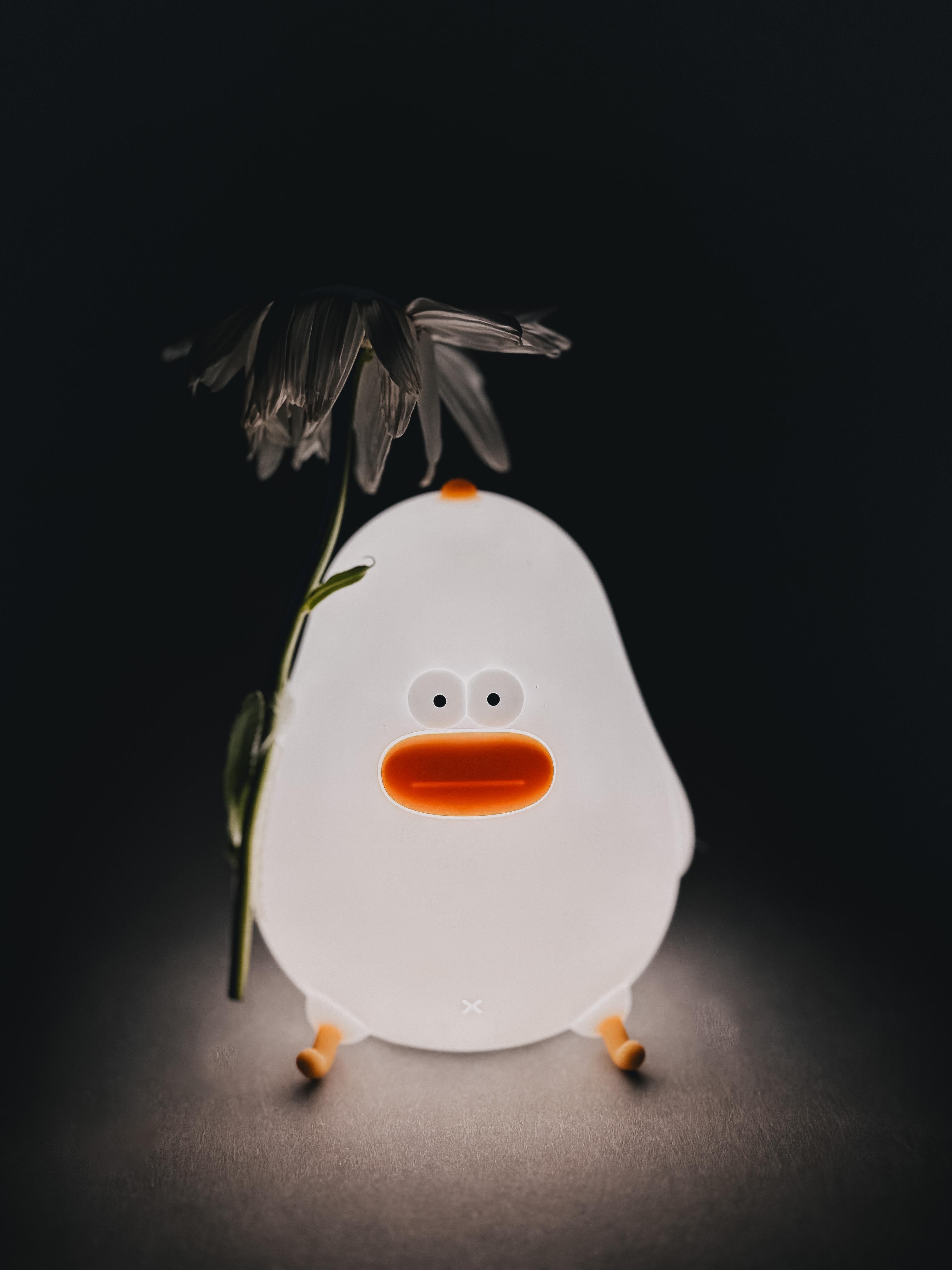 Нічник дитячий з вбудованим акумулятором Курка Muid (00105) - фото 7 Нічник дитячий з вбудованим акумулятором Курка Muid (00105) - фото 7