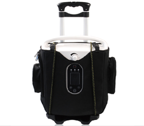 Портативный кислородный концентратор KSW-1 с тележкой 1 л (8458682) - фото 4 Портативный кислородный концентратор KSW-1 с тележкой 1 л (8458682) - фото 4