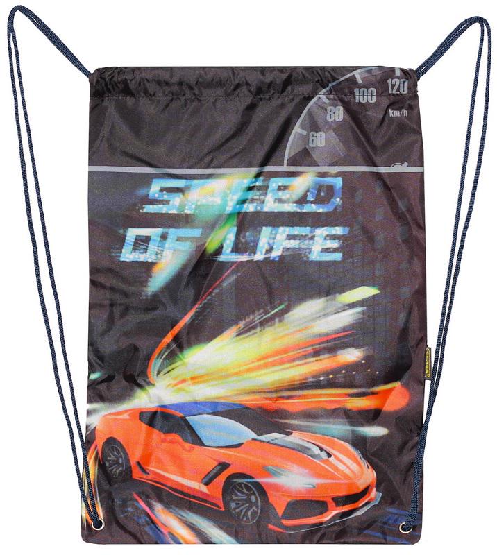 Сумка для взуття Speed of Life 2438C CLASS поліестер 46х33 см (1333204)