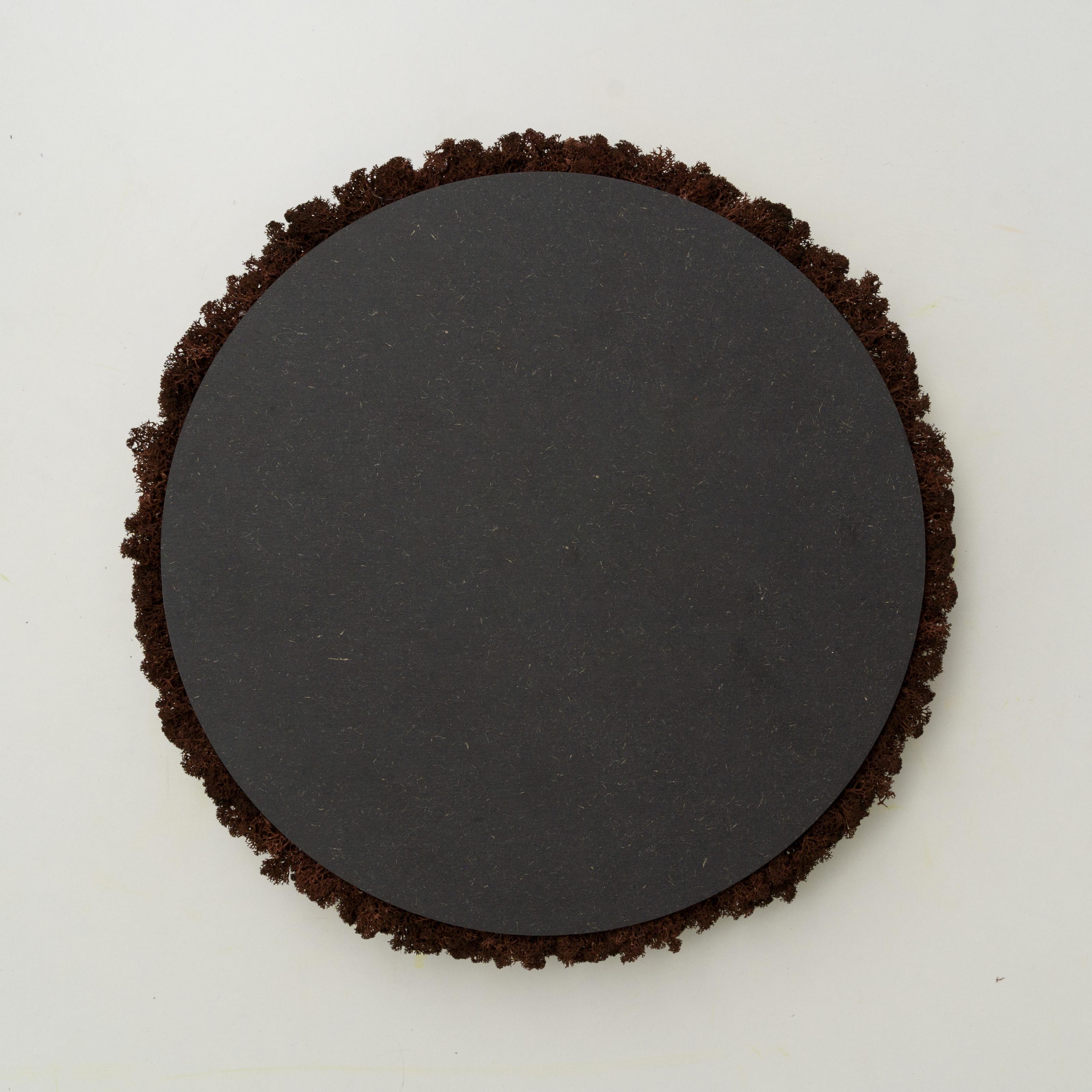 Декоративне панно з моху Organic Design d 33 см Brown (701-09) - фото 4 Декоративне панно з моху Organic Design d 33 см Brown (701-09) - фото 4