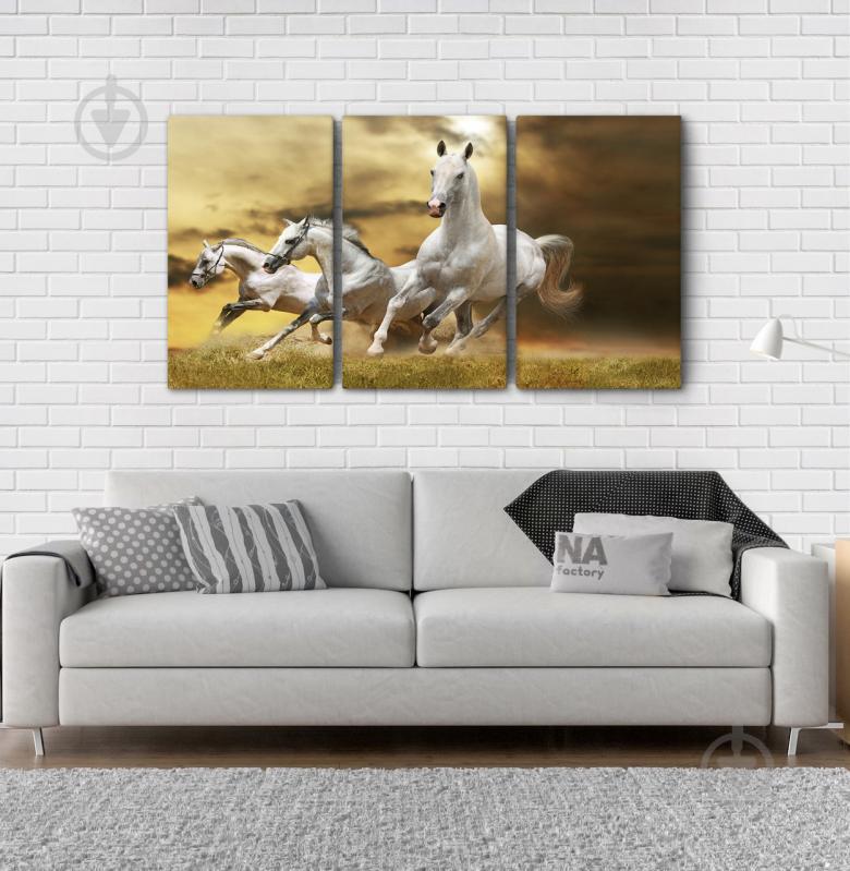 Модульна картина Poster-land Коні Аrt-79_3А