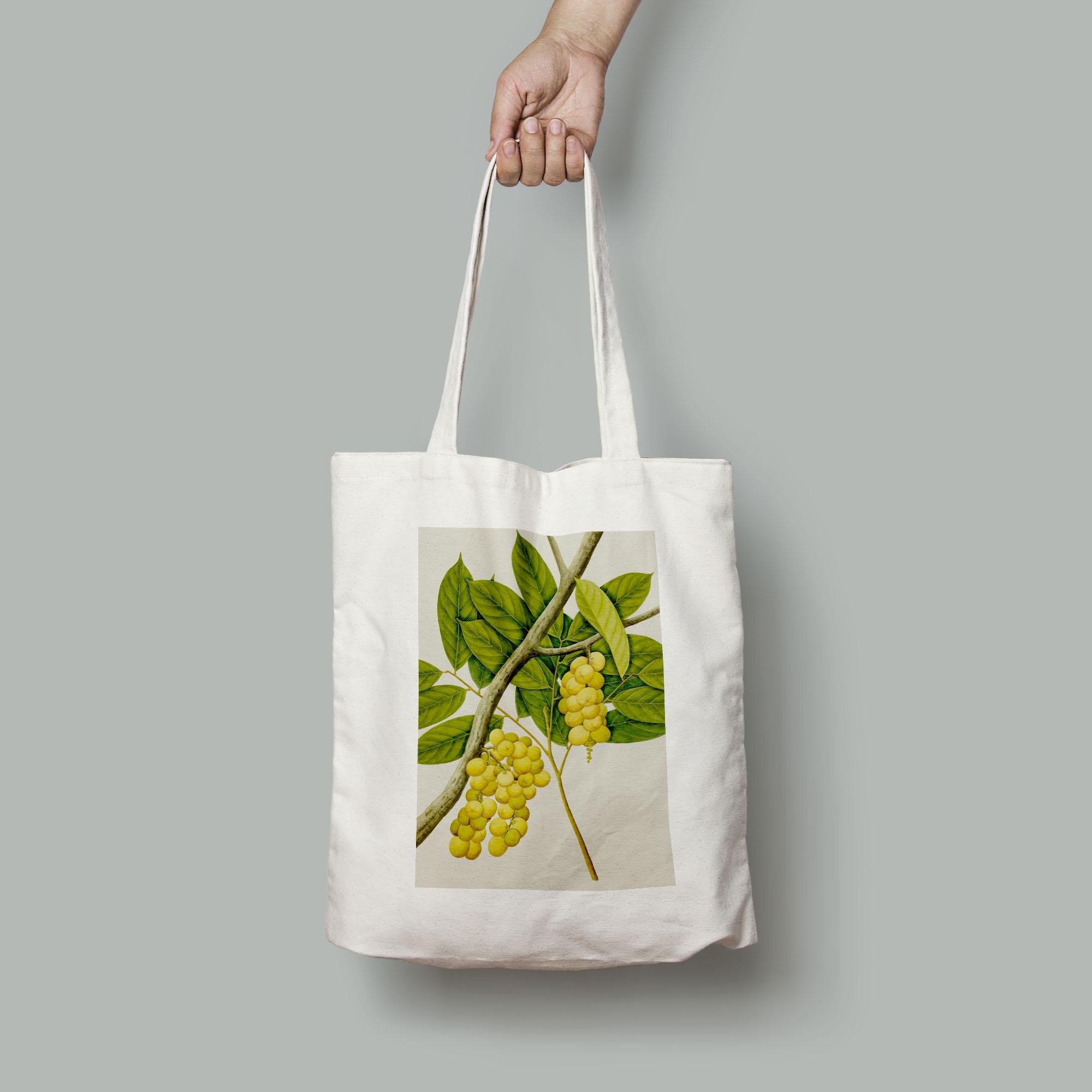 Эко-сумка шопер Винтажное плодовое дерево Лангсат