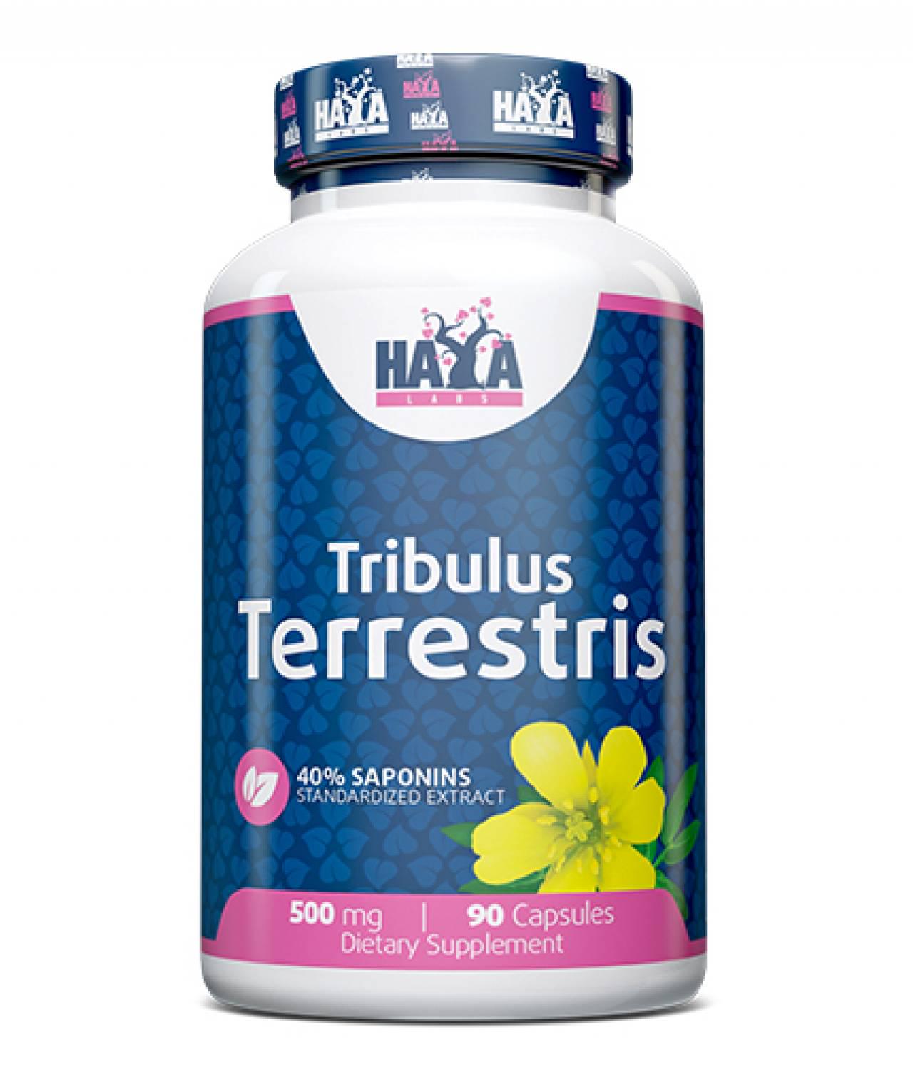 Трибулус терестріс Haya Labs Tribulus Terrestris 500 мг 90 caps