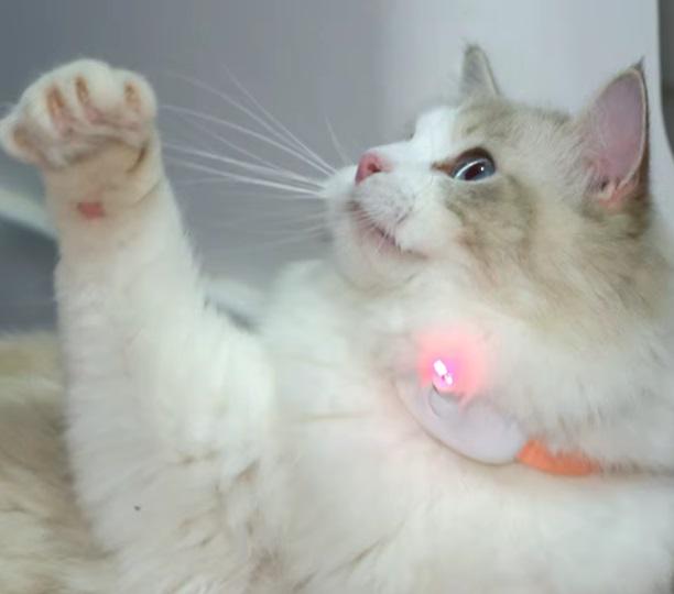 Ошейник для кошек Cat Сollar Т-883 с лазерной указкой Персиковый (25107313) - фото 8 Ошейник для кошек Cat Сollar Т-883 с лазерной указкой Персиковый (25107313) - фото 8