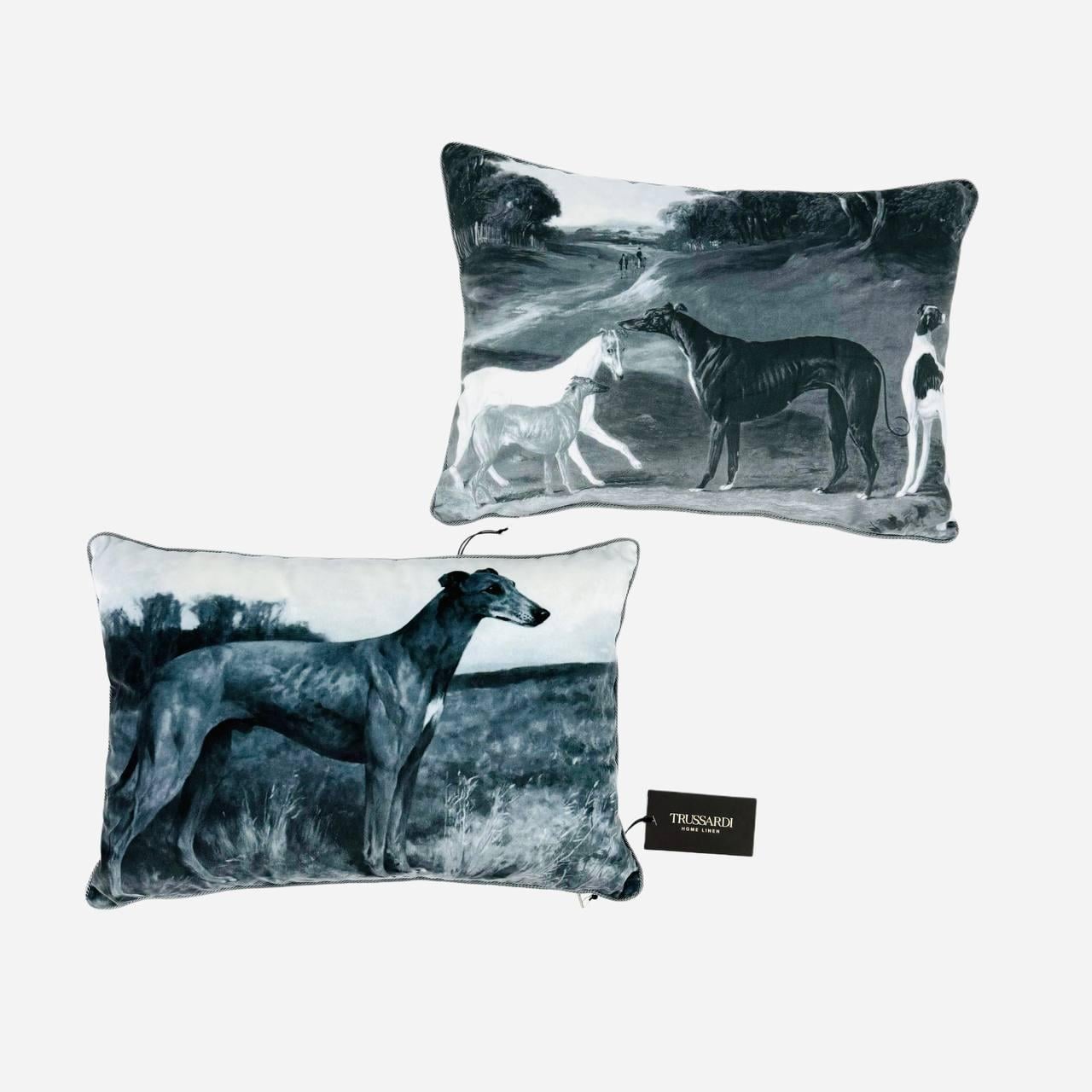 Набір подушок TRUSSARDI 94523 Paintings col. U40 blu 30х45 см 2 шт. (32540205) Набір подушок TRUSSARDI 94523 Paintings col. U40 blu 30х45 см 2 шт. (32540205)
