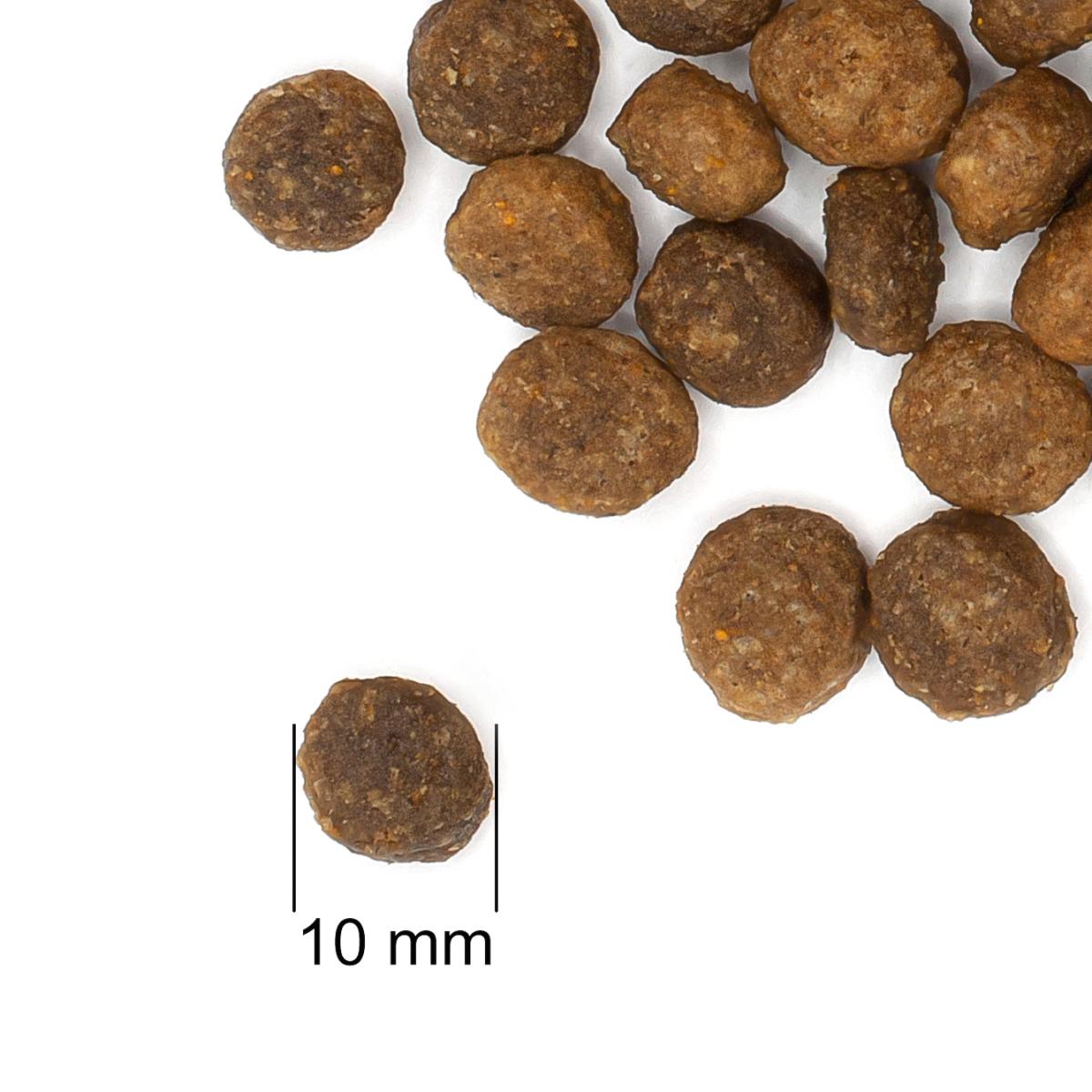 Корм для котів та кошенят Practik Fresh Холістик 4 протеїни 8 кг (8C4F638) - фото 5