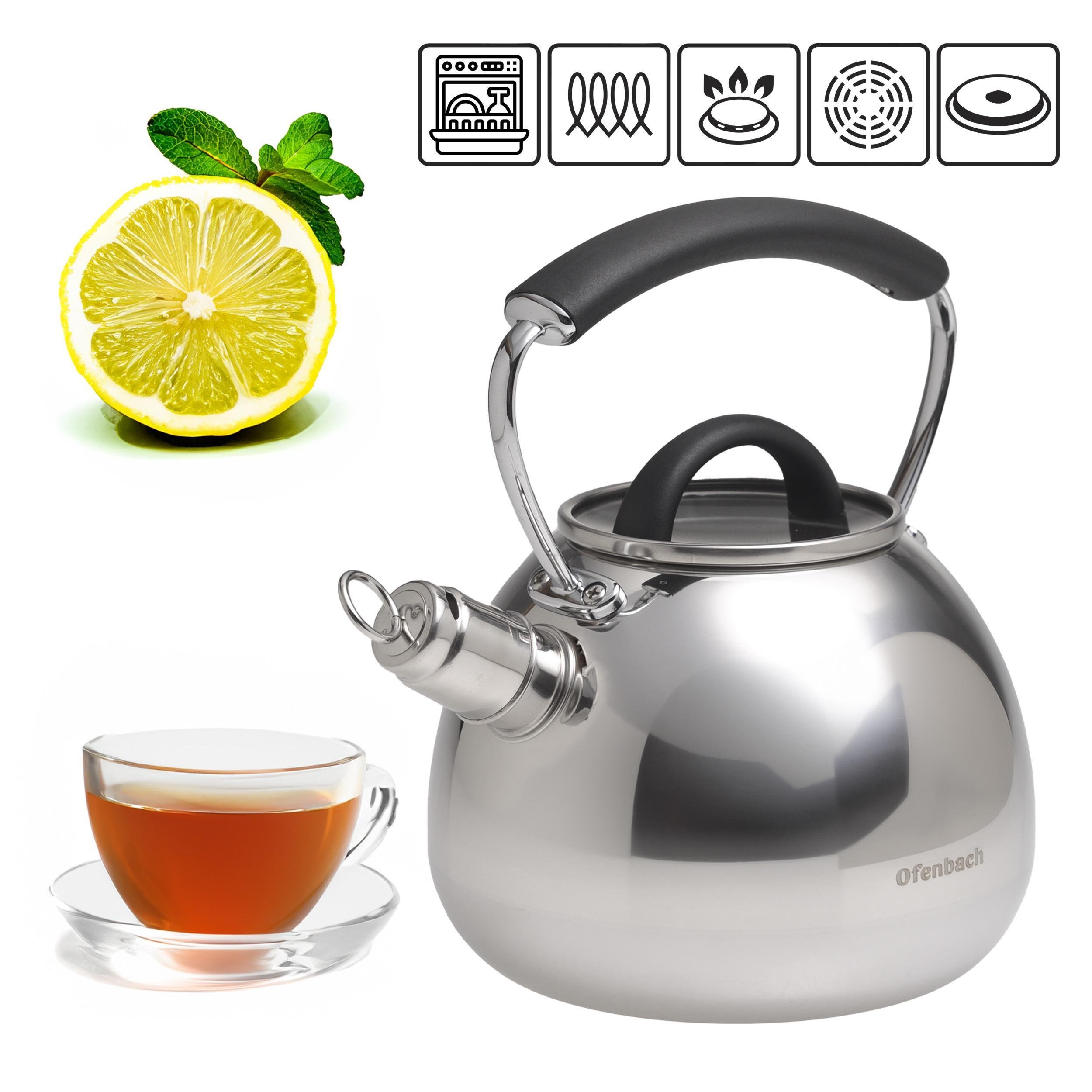Чайник со свистком и ручкой с покрытием soft touch Ofenbach KM-100310 из нержавеющей стали 2,5 л Стальной (150-84-100310) - фото 4 Чайник со свистком и ручкой с покрытием soft touch Ofenbach KM-100310 из нержавеющей стали 2,5 л Стальной (150-84-100310) - фото 4